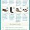 Different types of dress shoes
